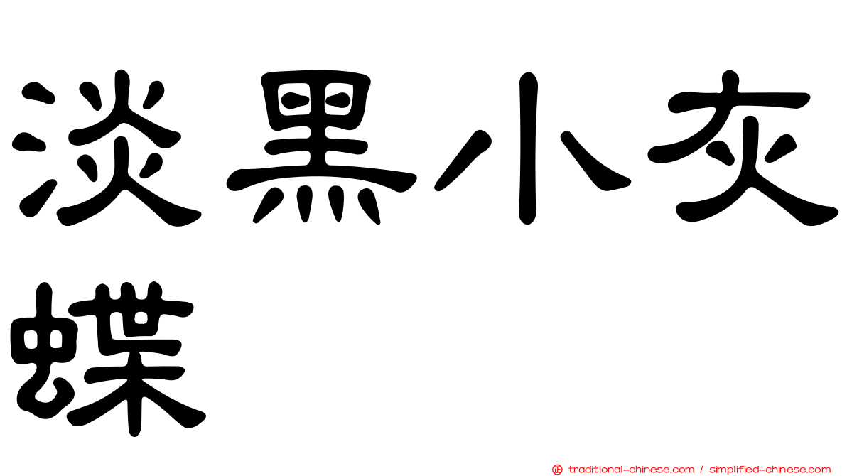 淡黑小灰蝶