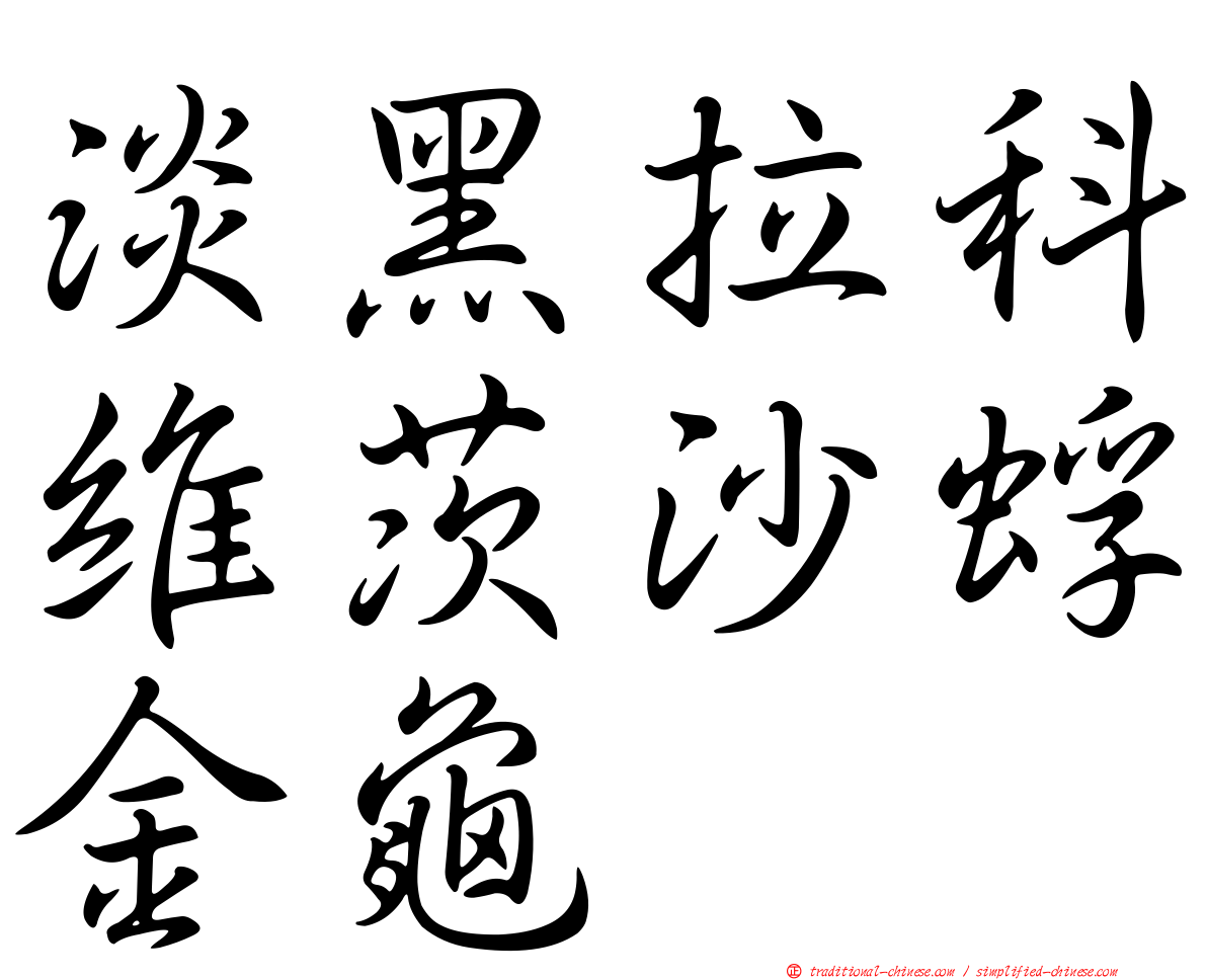 淡黑拉科維茨沙蜉金龜