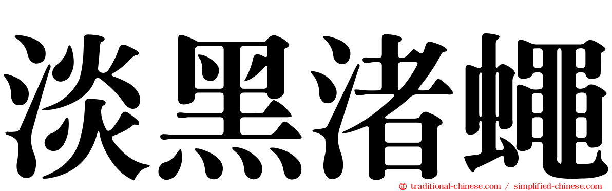 淡黑渚蠅