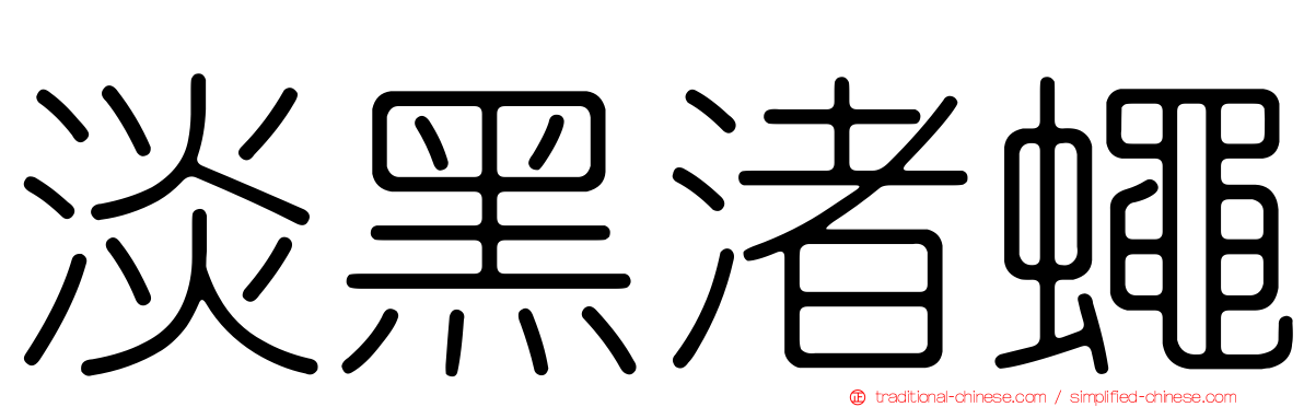 淡黑渚蠅