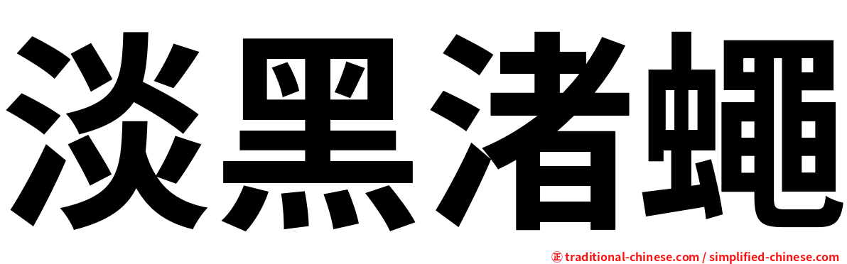 淡黑渚蠅