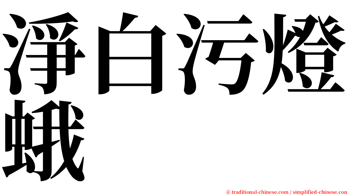 淨白污燈蛾 serif font