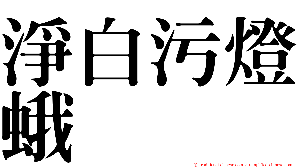 淨白污燈蛾