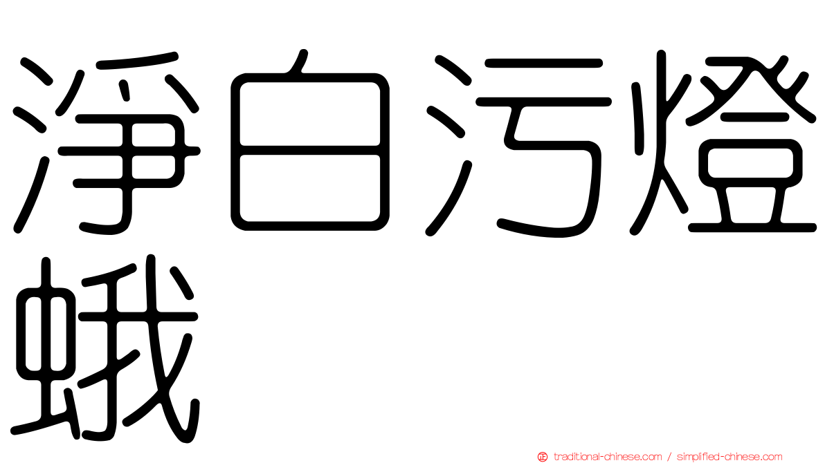 淨白污燈蛾