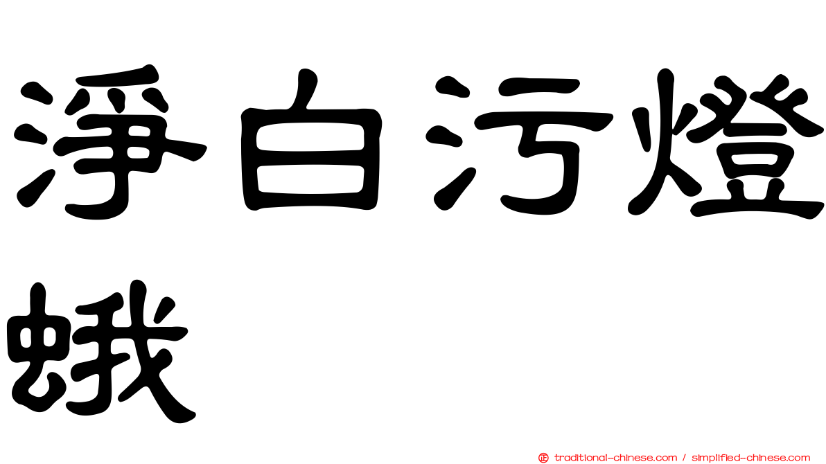 淨白污燈蛾