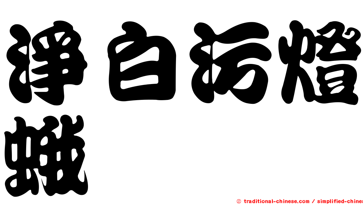 淨白污燈蛾