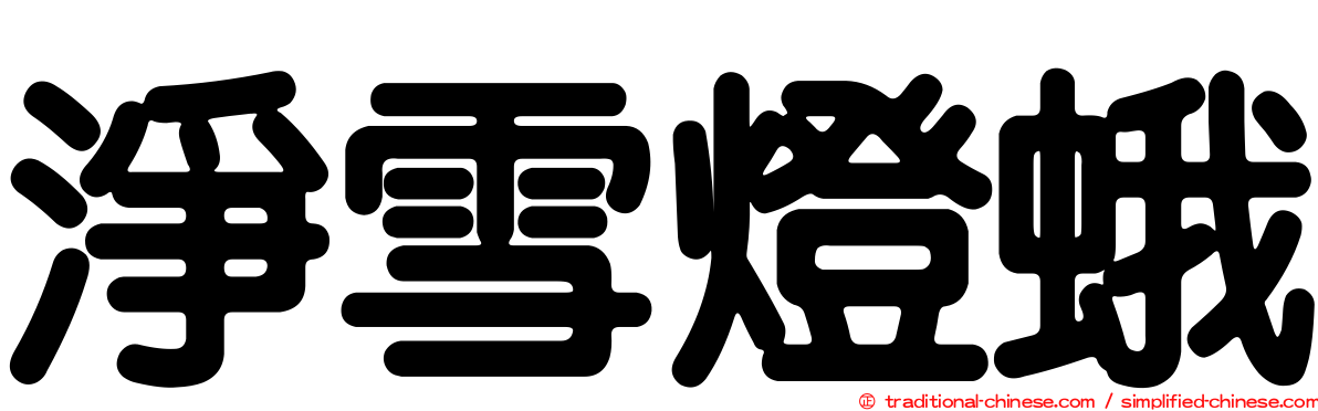 淨雪燈蛾