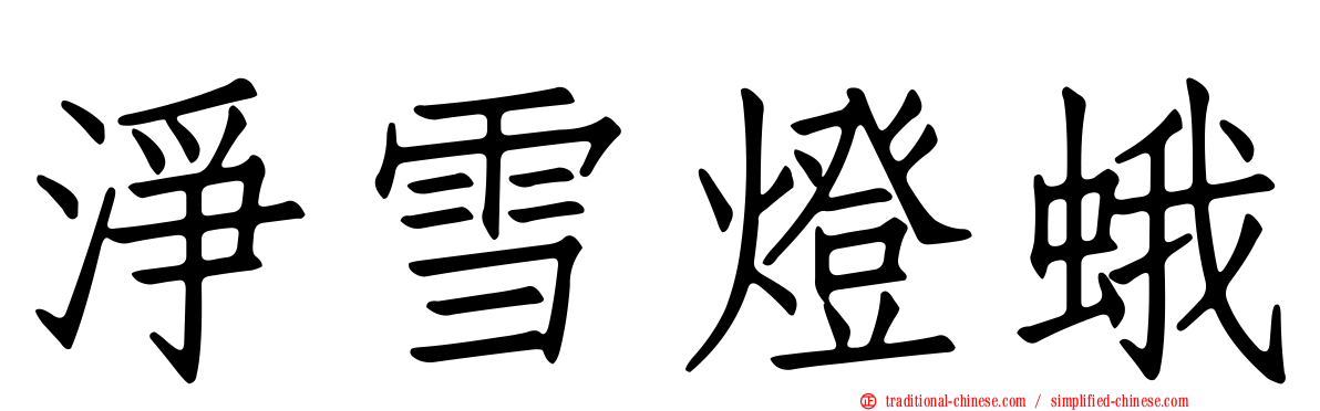 淨雪燈蛾