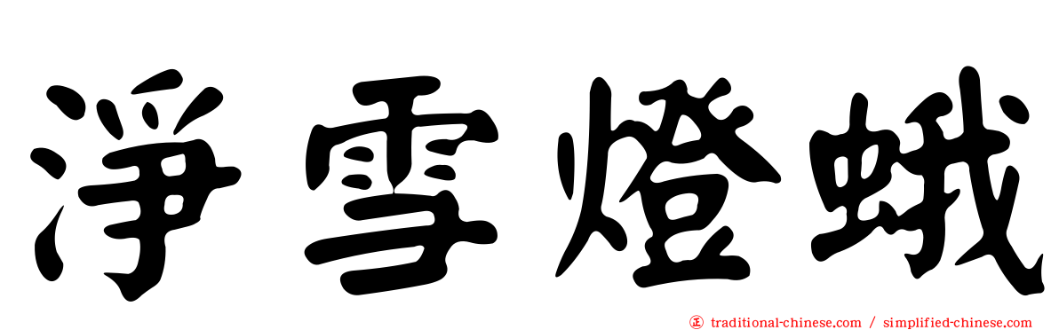 淨雪燈蛾