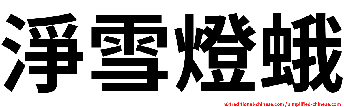 淨雪燈蛾