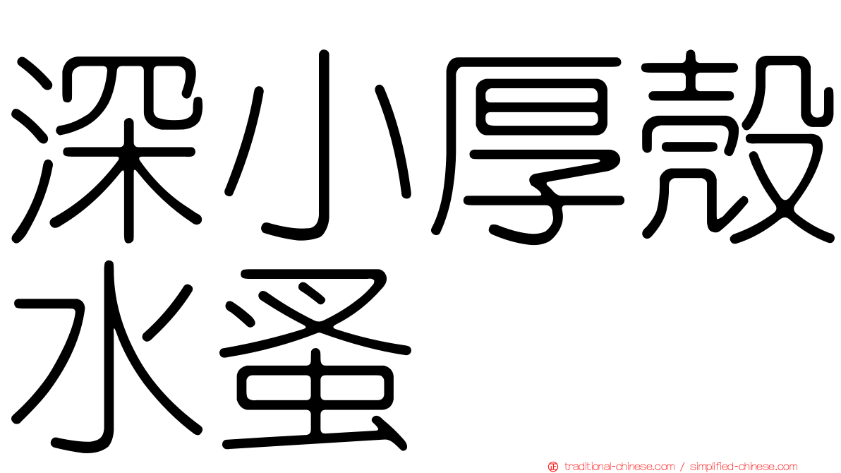 深小厚殼水蚤