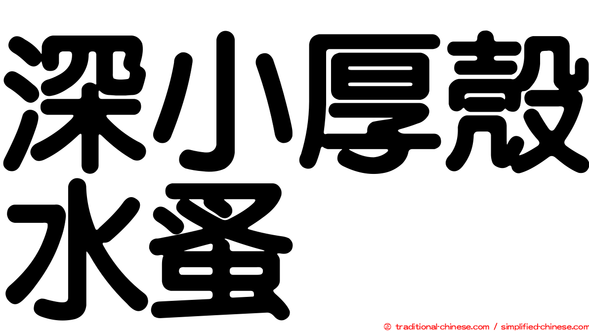 深小厚殼水蚤