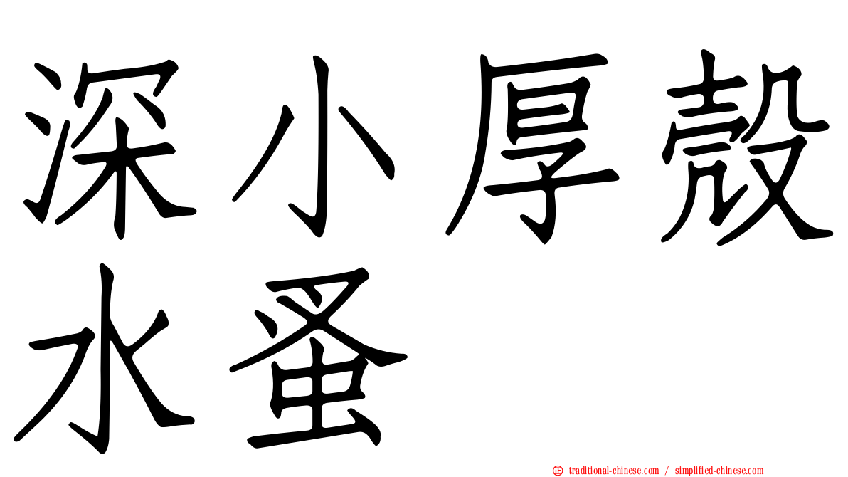 深小厚殼水蚤