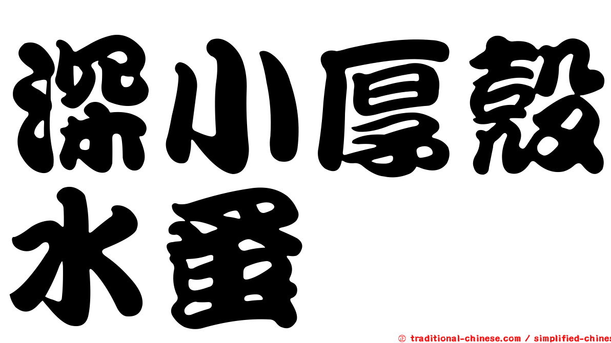 深小厚殼水蚤