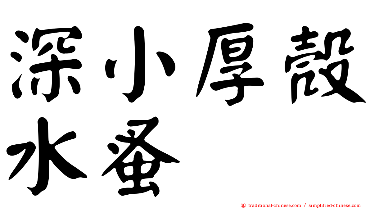 深小厚殼水蚤