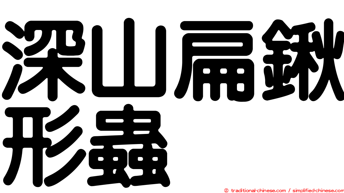 深山扁鍬形蟲