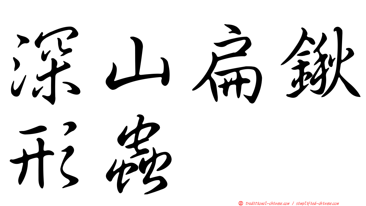 深山扁鍬形蟲
