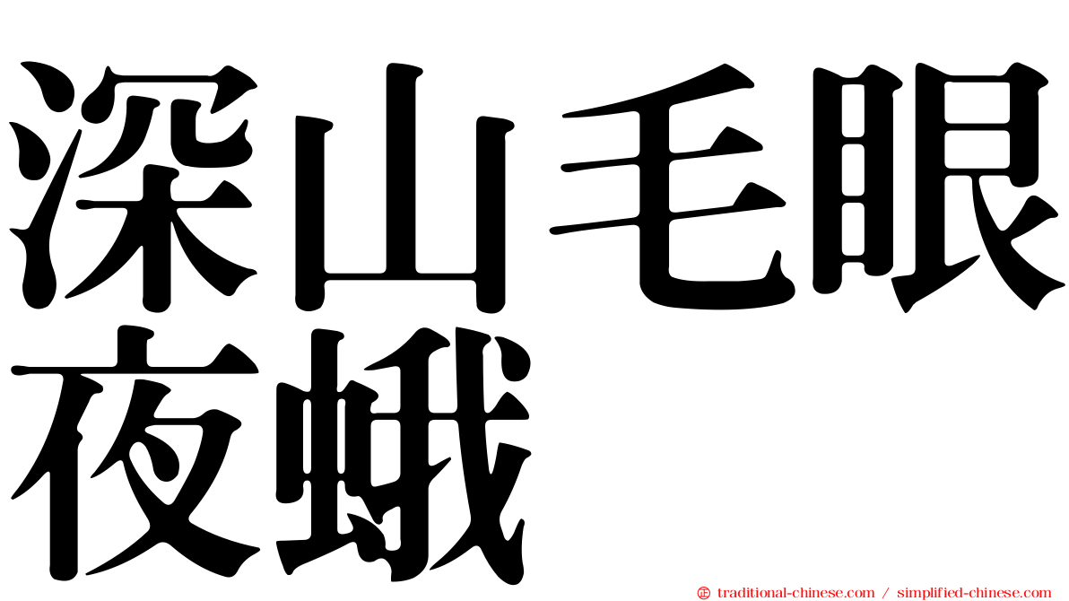深山毛眼夜蛾
