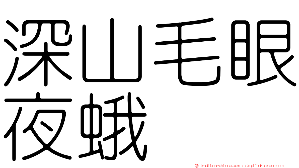 深山毛眼夜蛾