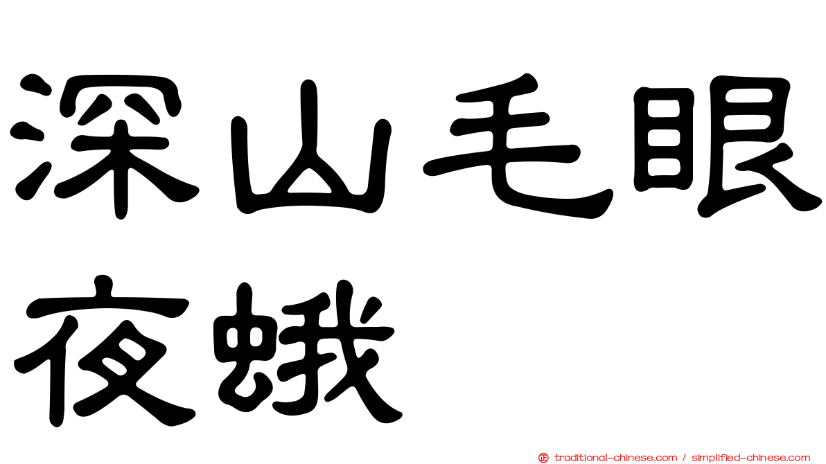 深山毛眼夜蛾