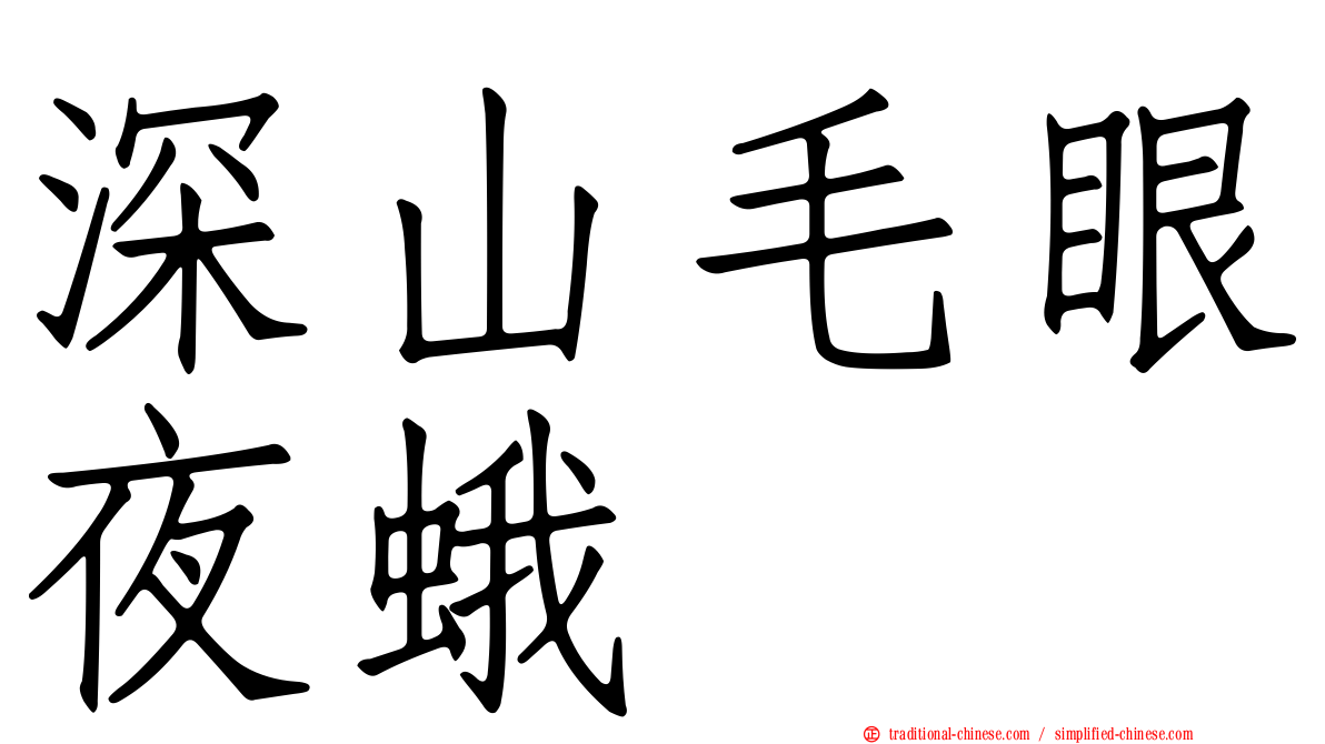 深山毛眼夜蛾