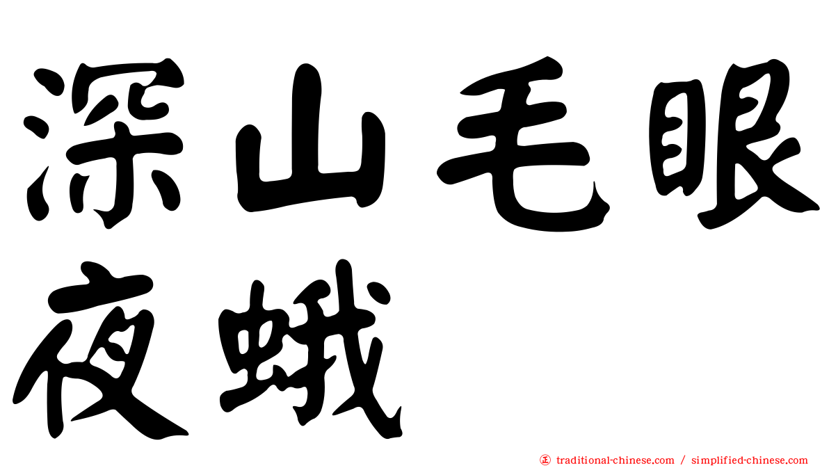 深山毛眼夜蛾