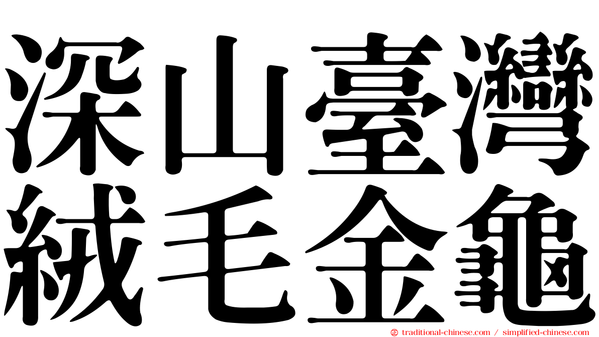 深山臺灣絨毛金龜