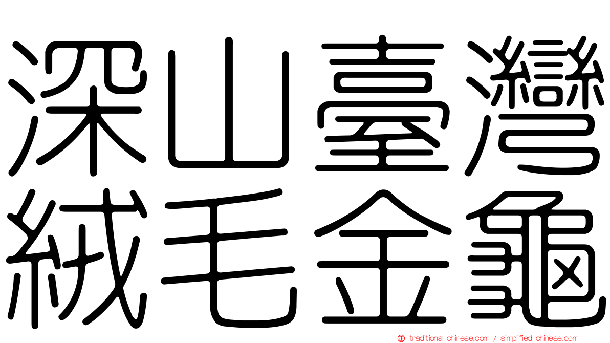 深山臺灣絨毛金龜