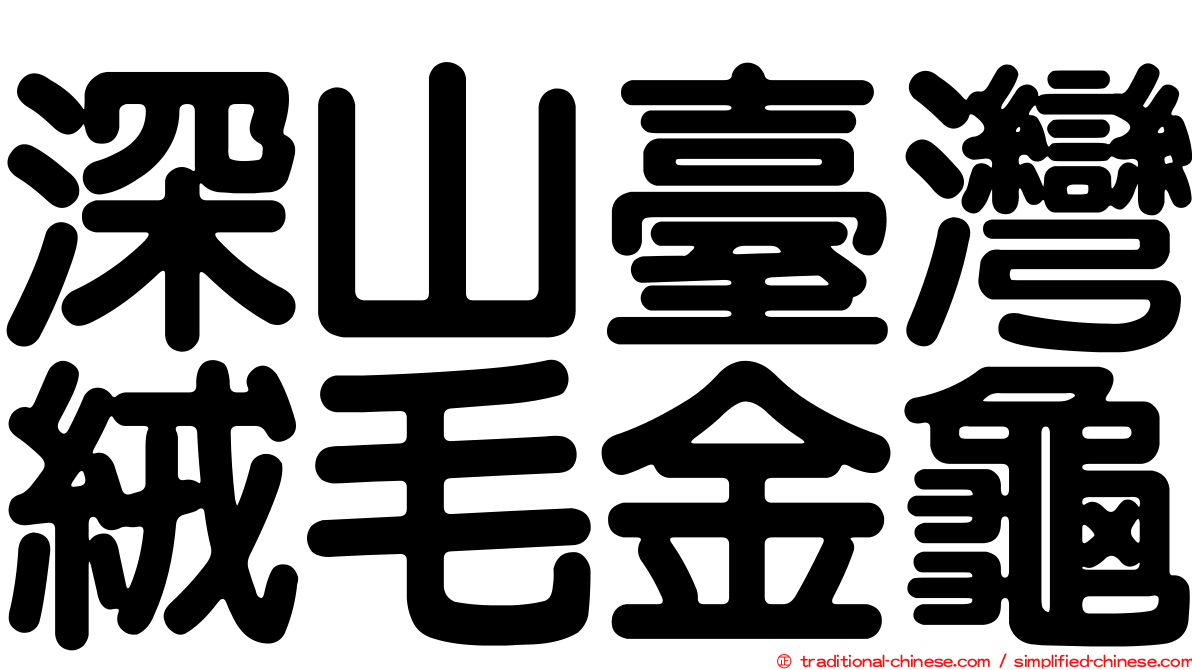 深山臺灣絨毛金龜
