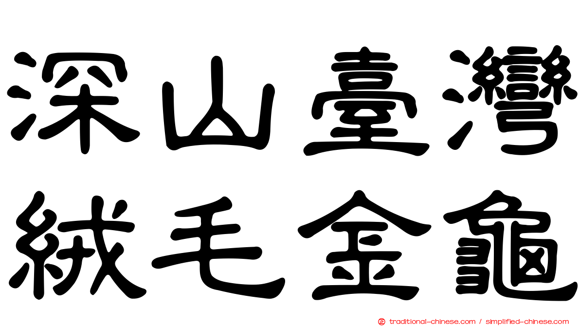 深山臺灣絨毛金龜