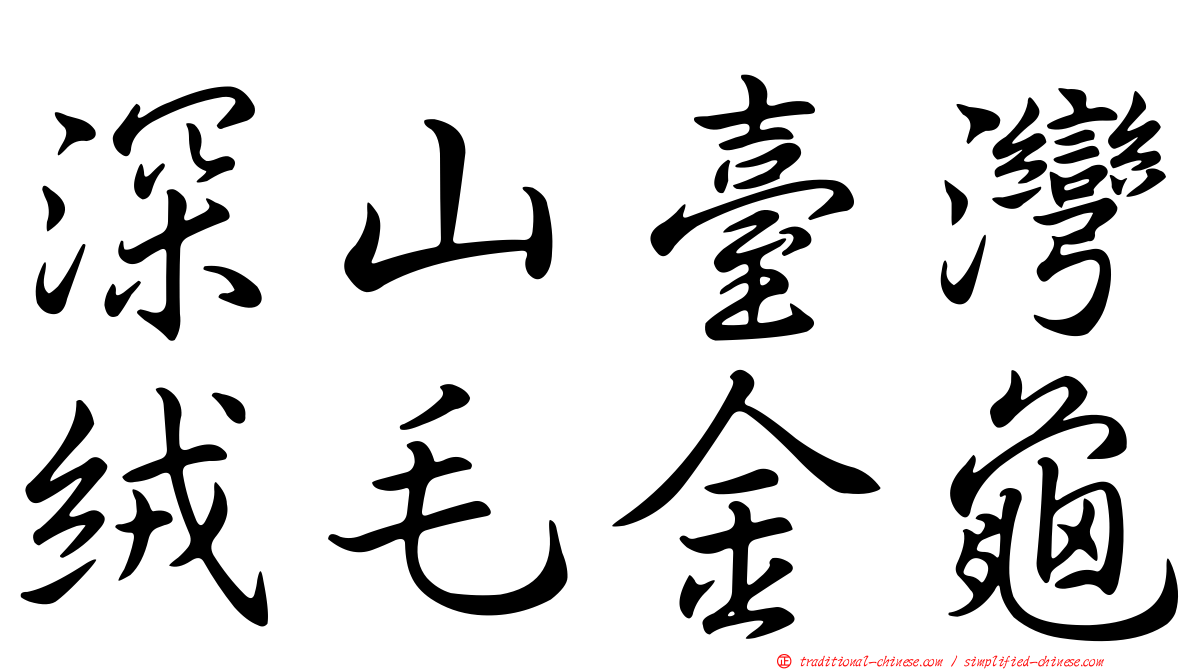 深山臺灣絨毛金龜