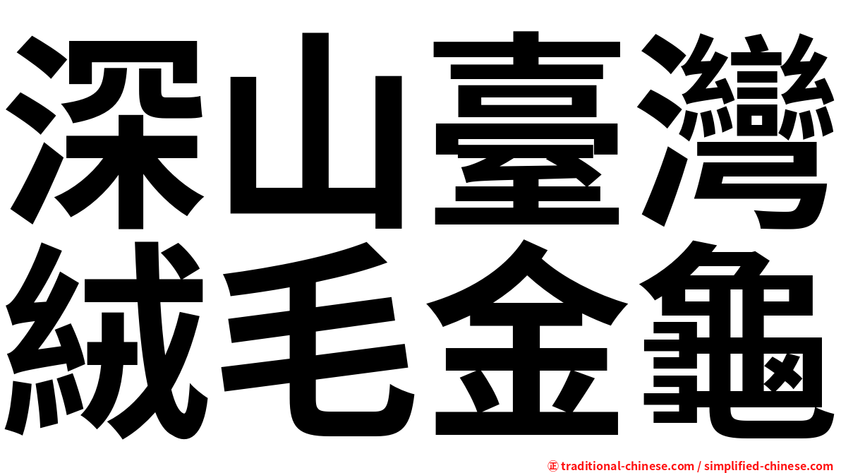 深山臺灣絨毛金龜