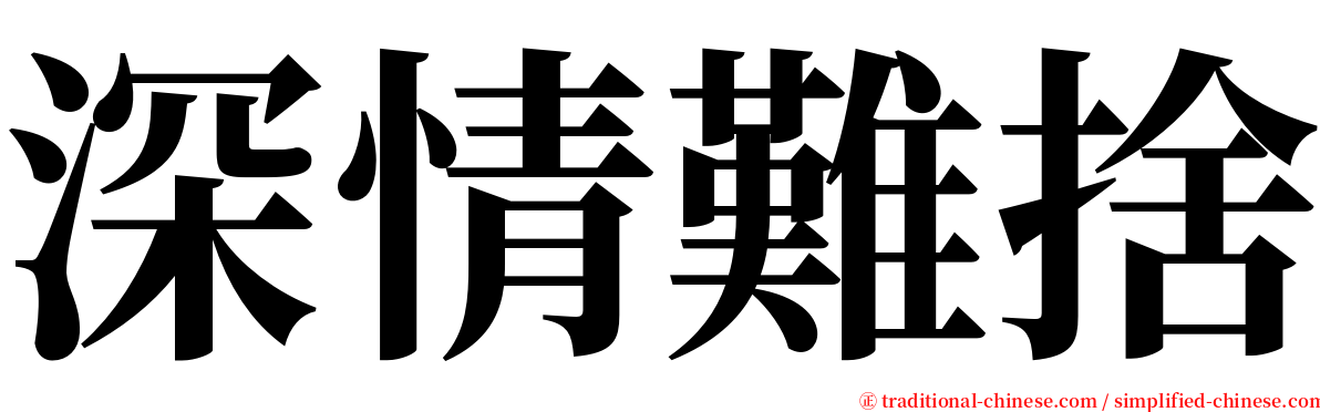 深情難捨 serif font