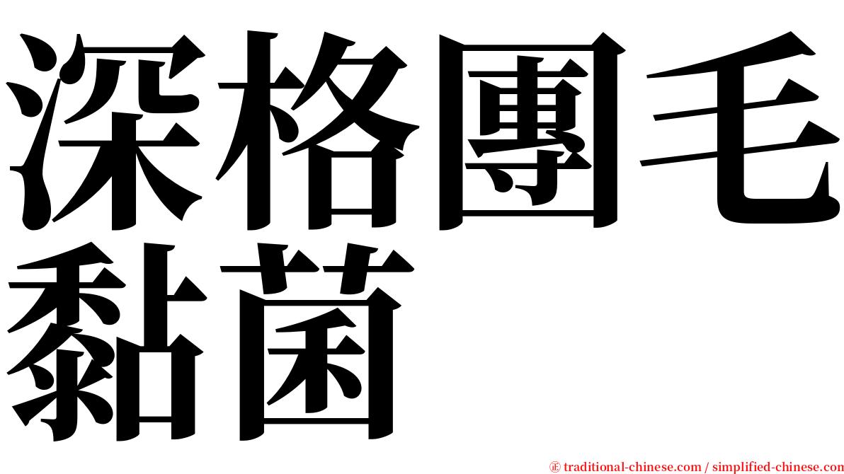 深格團毛黏菌 serif font