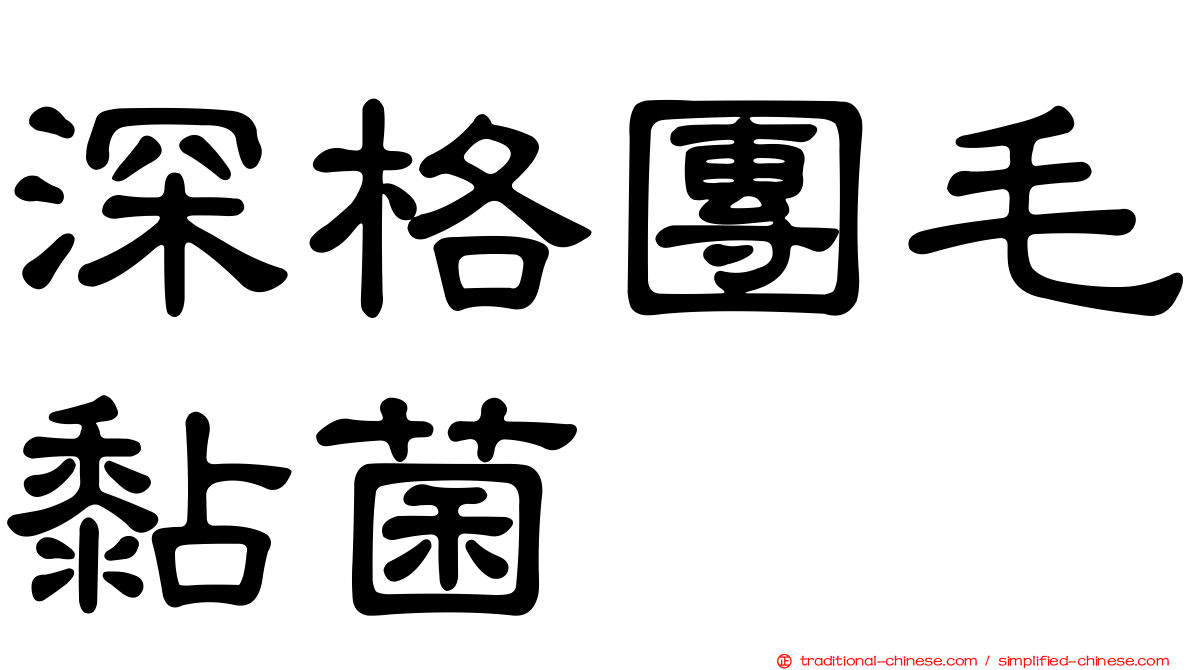 深格團毛黏菌