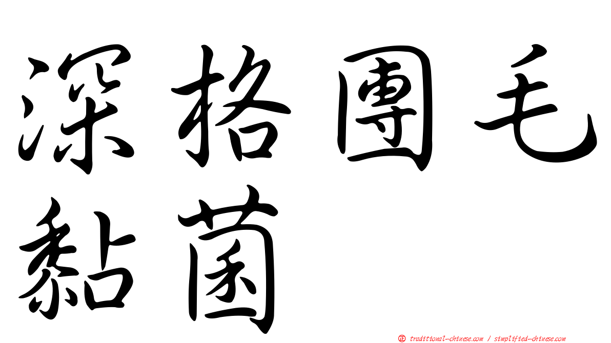 深格團毛黏菌