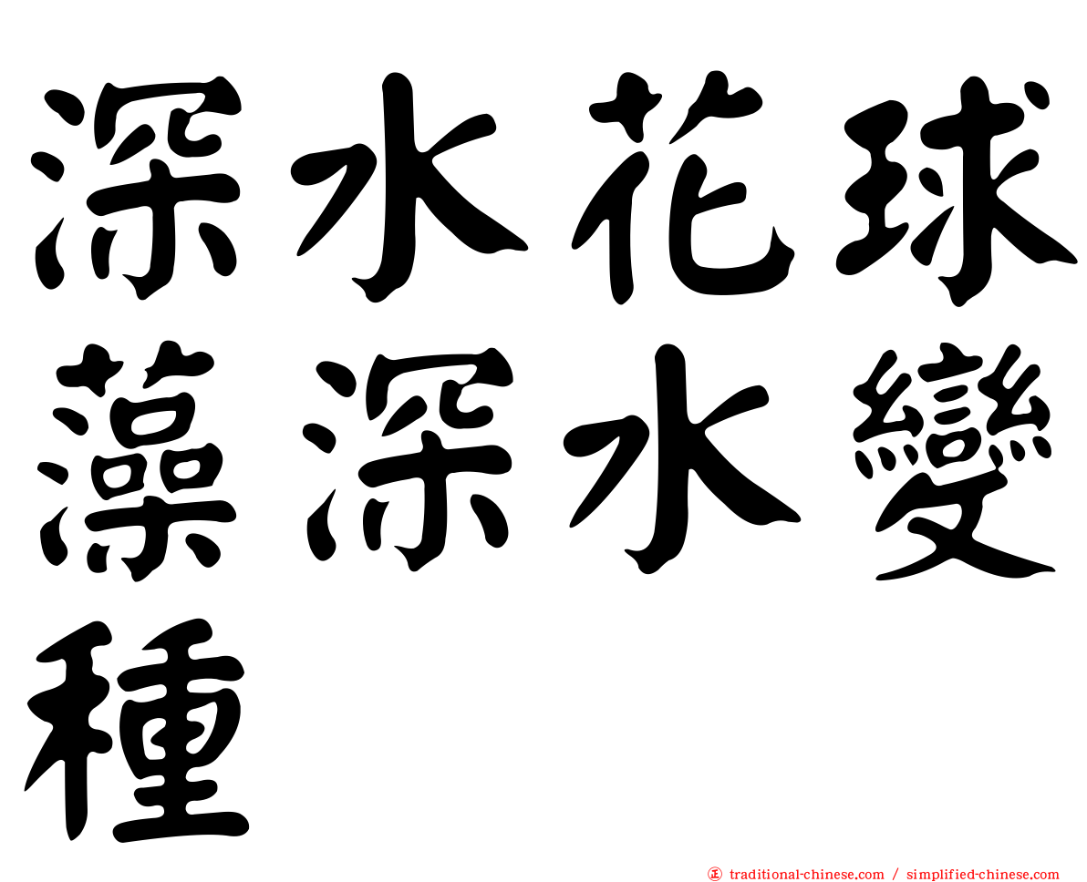 深水花球藻深水變種