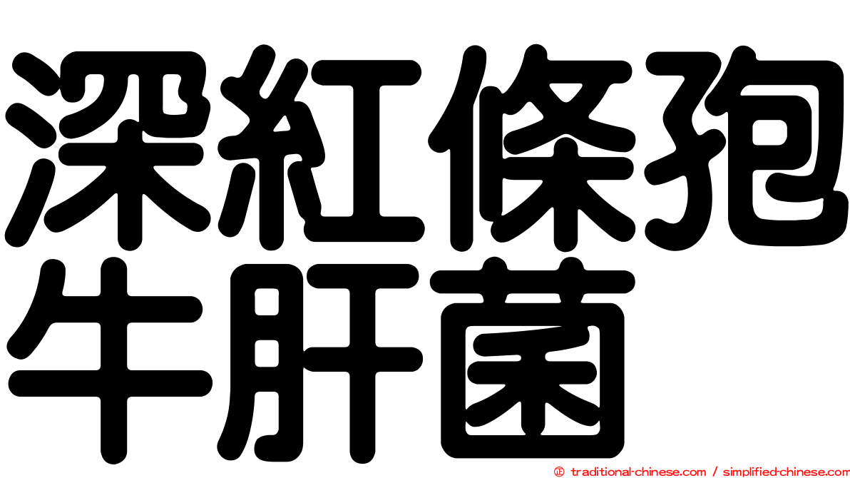 深紅條孢牛肝菌