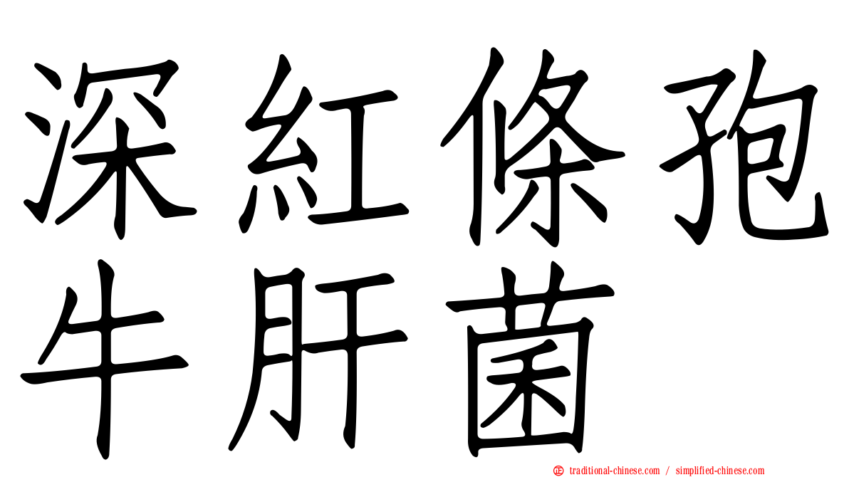 深紅條孢牛肝菌