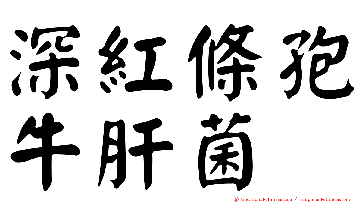 深紅條孢牛肝菌