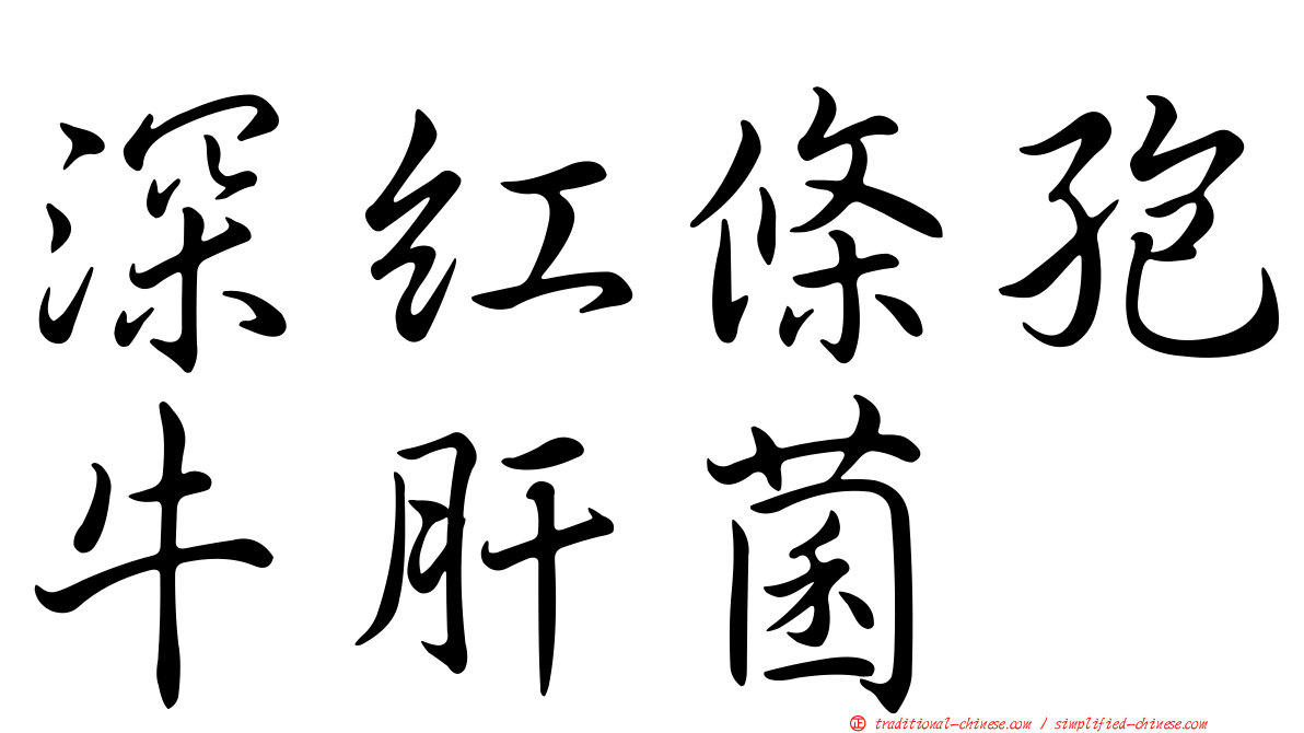 深紅條孢牛肝菌