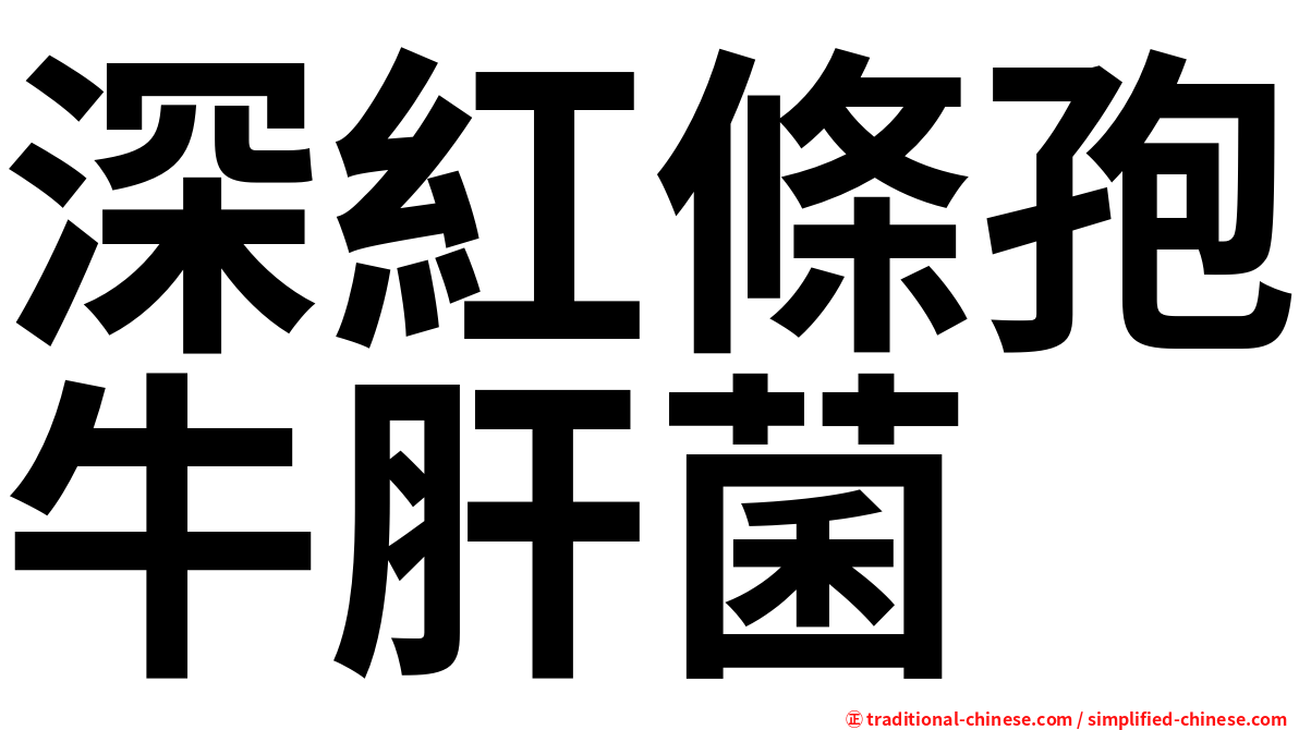深紅條孢牛肝菌