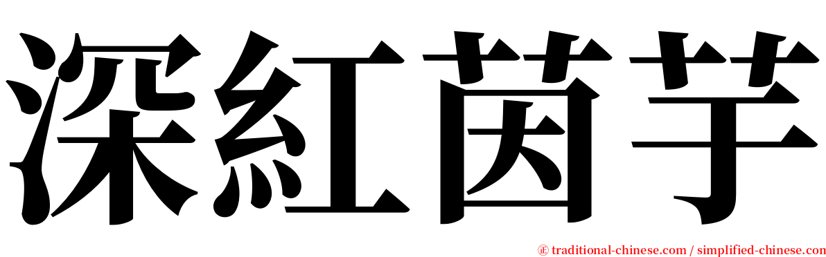 深紅茵芋 serif font