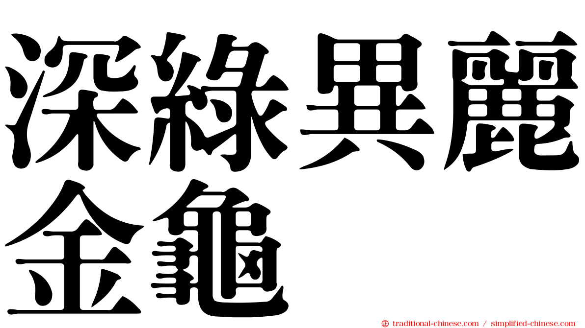 深綠異麗金龜