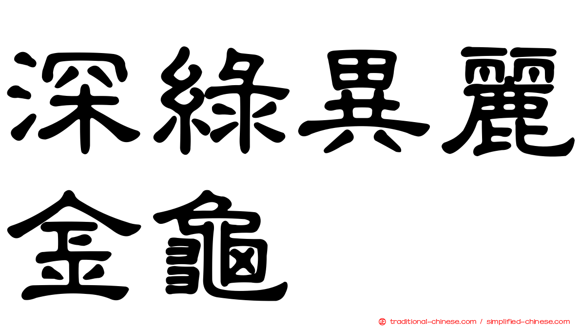 深綠異麗金龜