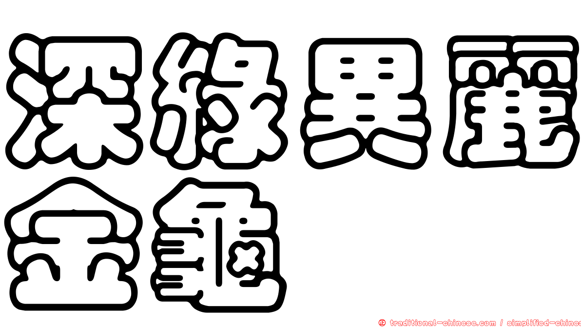 深綠異麗金龜