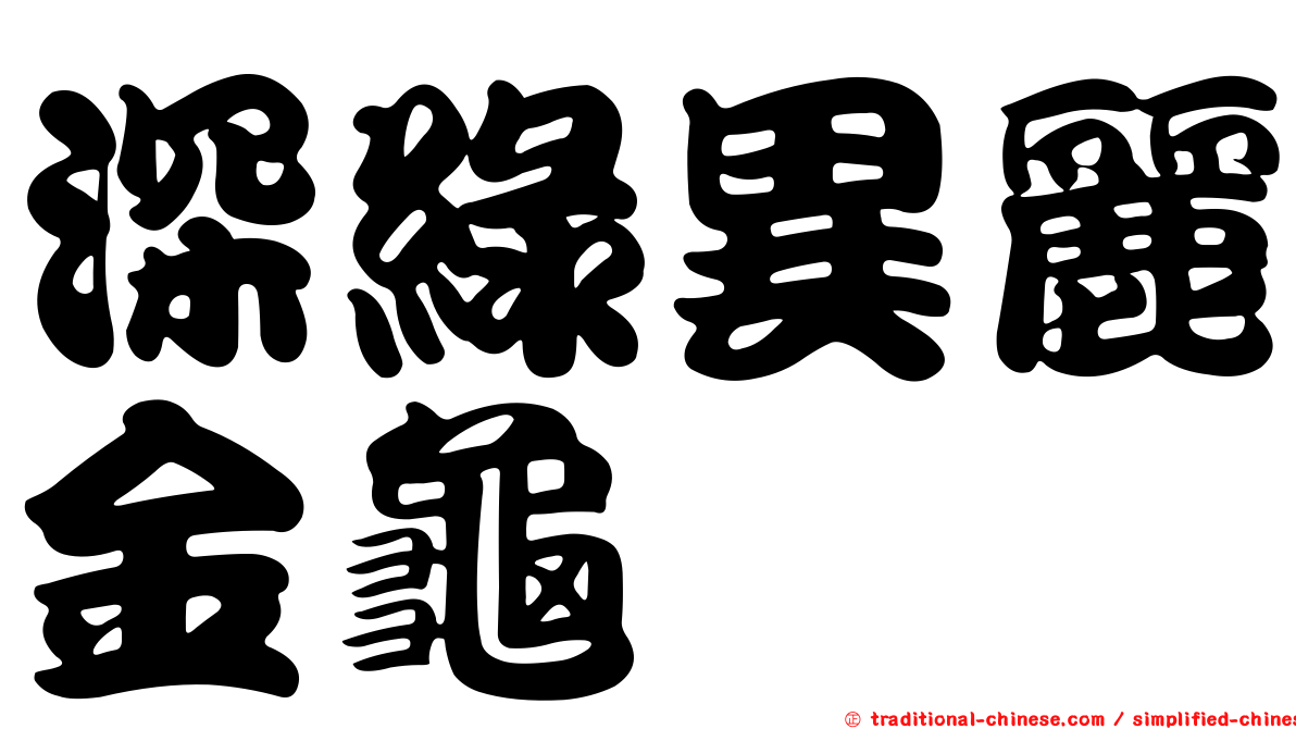 深綠異麗金龜