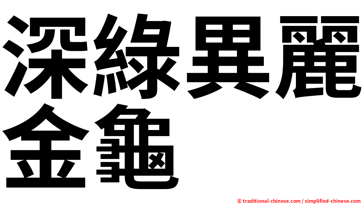 深綠異麗金龜