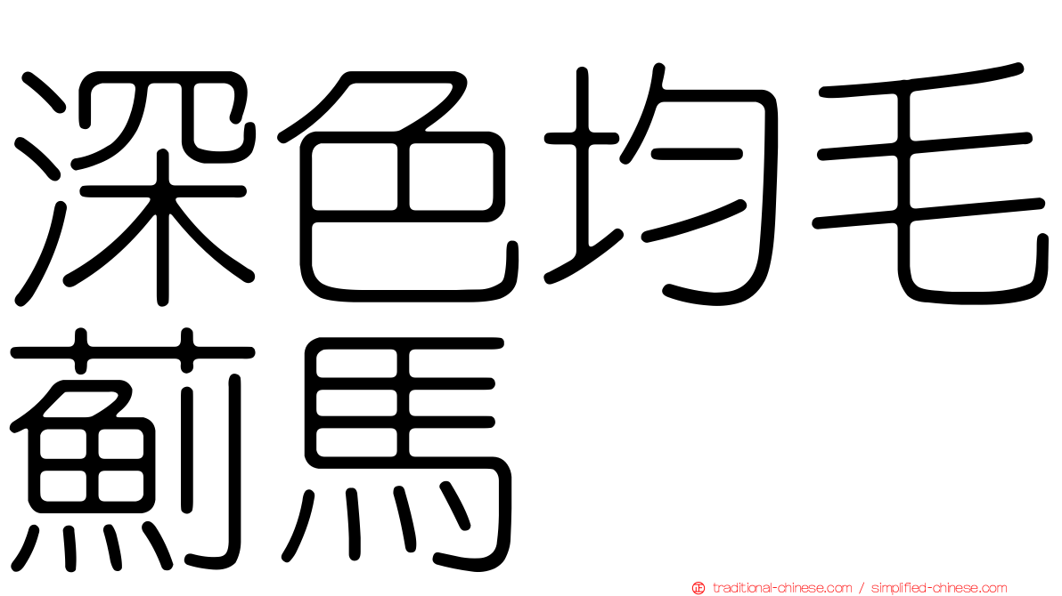 深色均毛薊馬