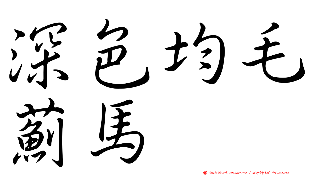 深色均毛薊馬
